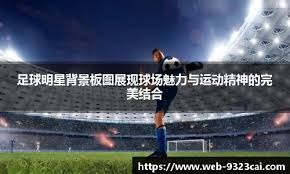 大谷翔平在 2023 年 9 月宣布接受手肘手术，天使球迷通过标语表达对其的感谢